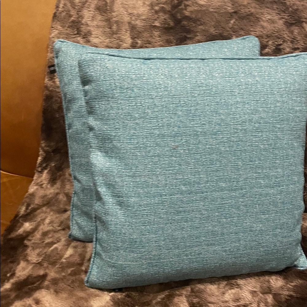 MCM pillows x2